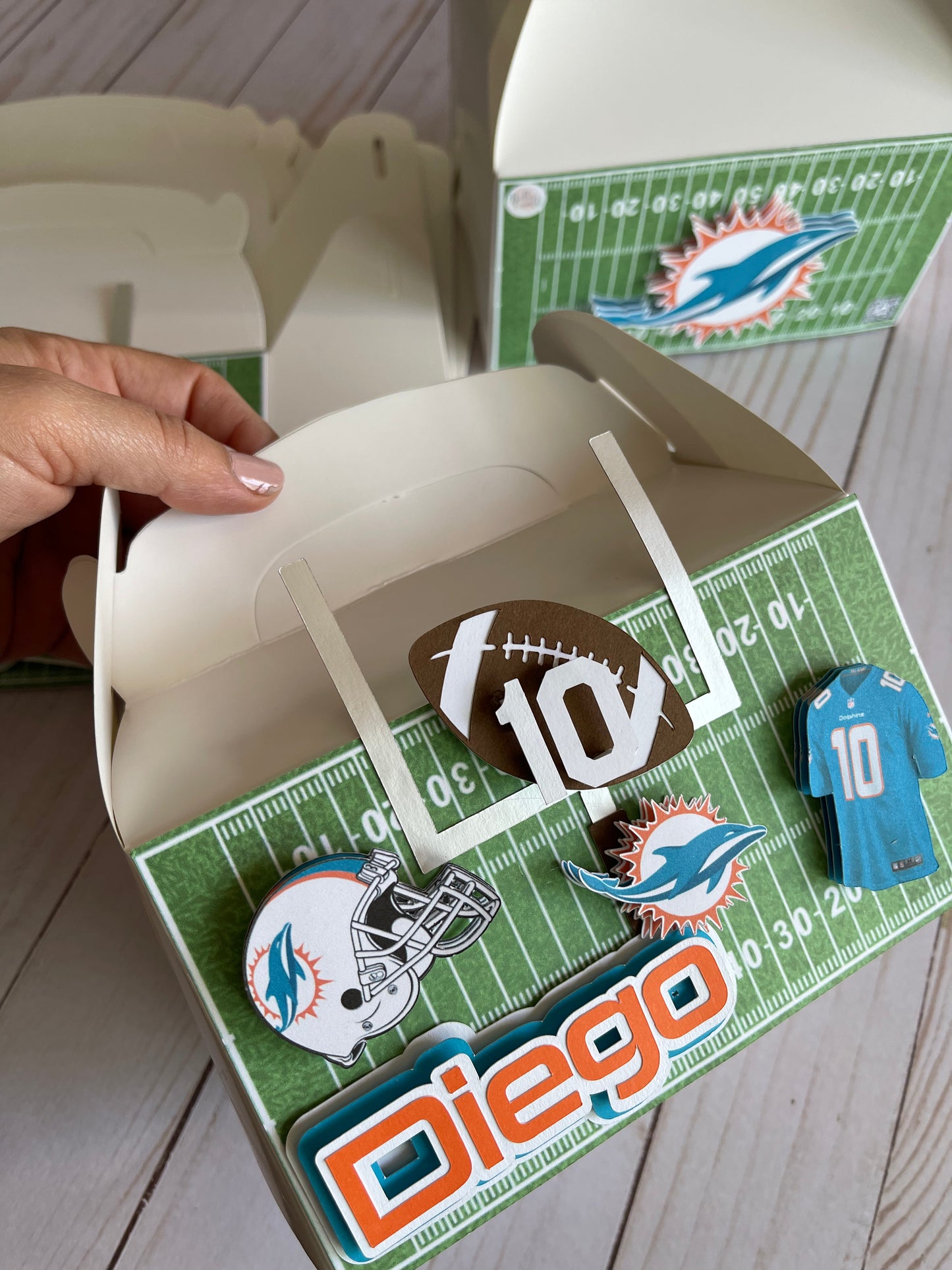 Miami Dolphins